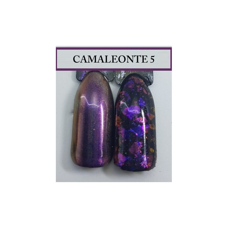 Polvere per unghie Camaleonte N°5