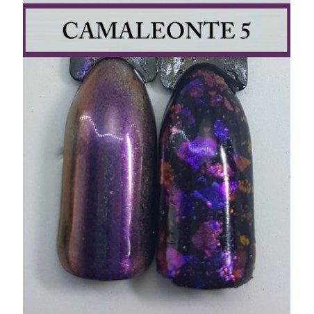 Polvere per unghie Camaleonte N°5