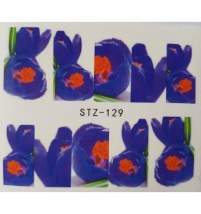 Water decals STZ129