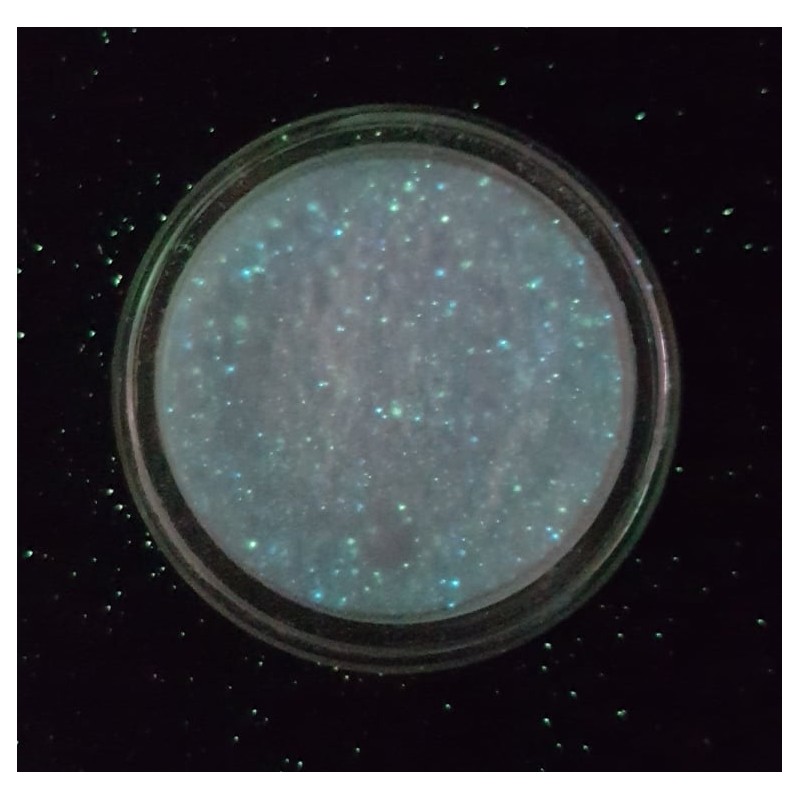 Polvere neon n°12