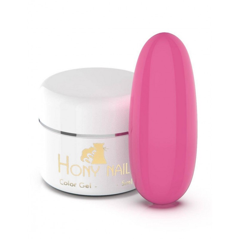 Gel Color Classic 107