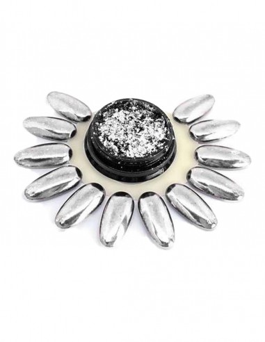 Polvere prisma silver 5gr