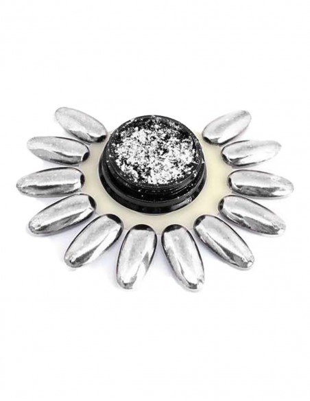 Polvere prisma silver 5gr