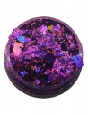 Sparkle, Twinkle, Camaleonte