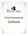 HONY NAILS ACADEMY CARBONIA